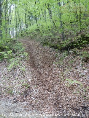 Ein weiterer Klassiker: Die Hagenturmrunde